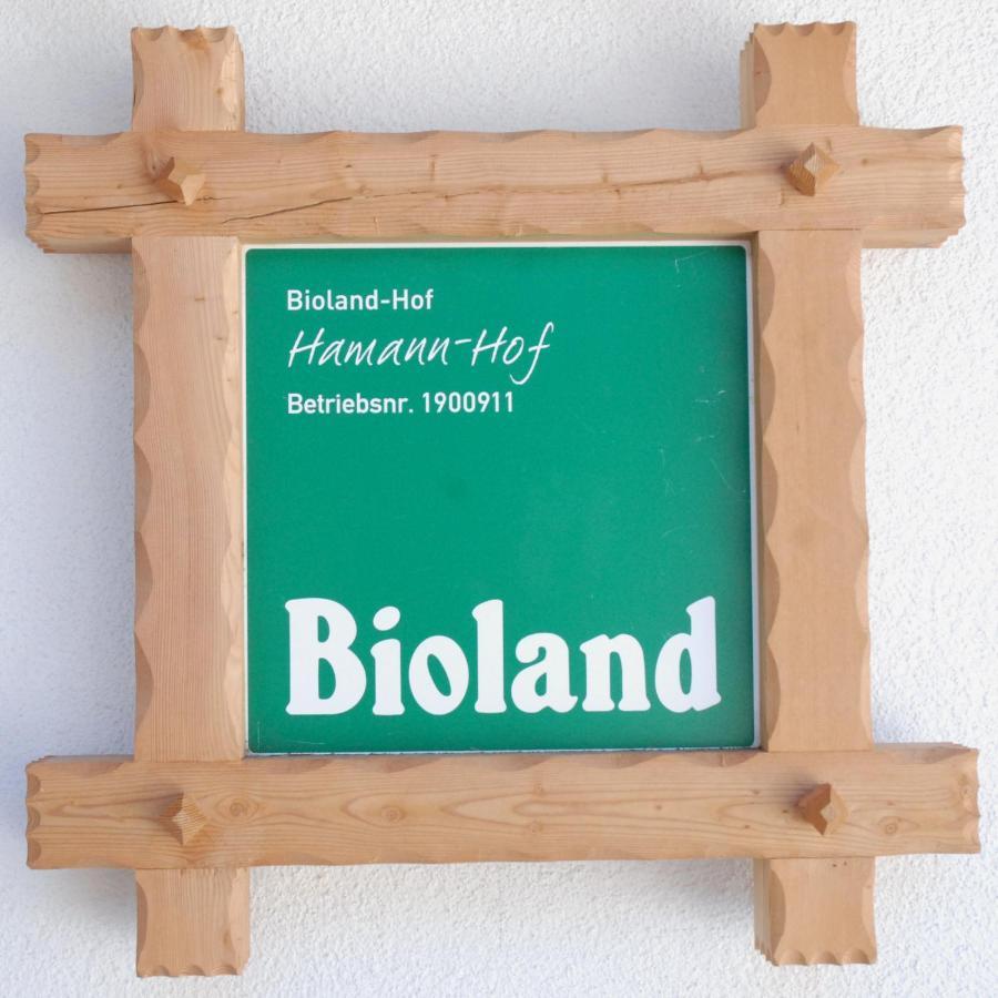 Biohof Hamann Villa Sarentino Bagian luar foto