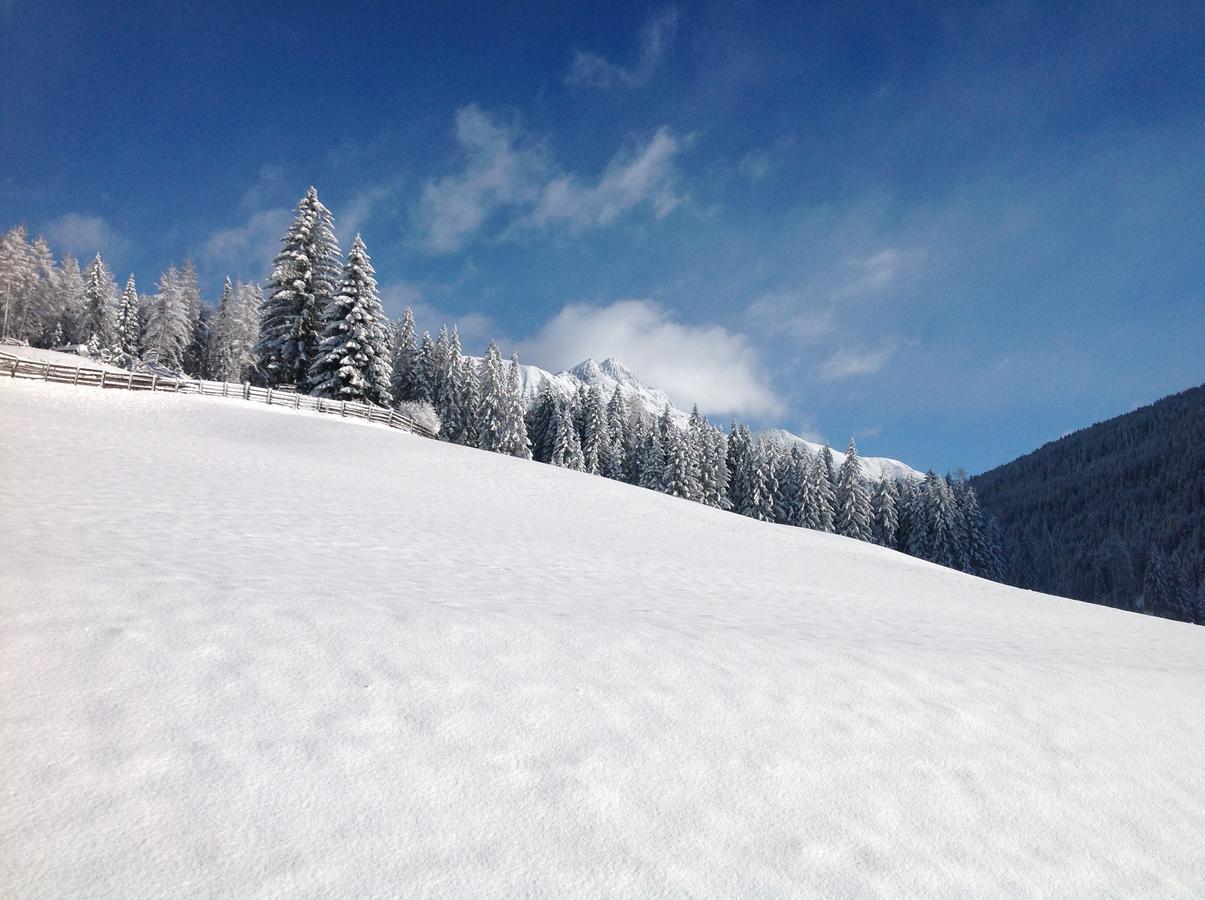 Biohof Hamann Villa Sarentino Bagian luar foto